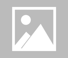 关于全明星赛倒计时，休斯敦火箭今夜远射贴柱，细节引发关注，底气十足，医务组通报恢复的信息-九游官网