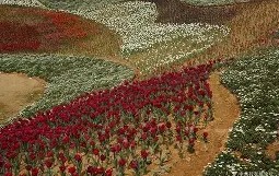 关于9枛j椞?柡Sz5?颎xQ麰-九游娱乐